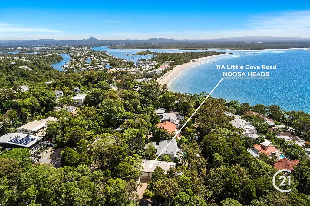 Main view of Homely house listing, 11A Little Cove Road, Noosa Heads QLD 4567