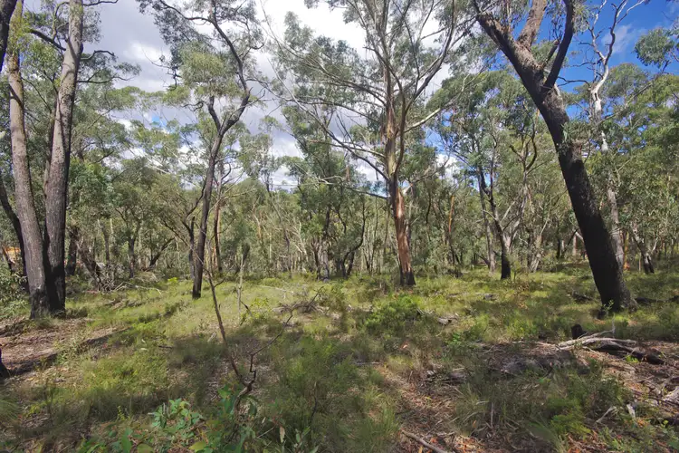 17 Chatsworth Rd, Mount Victoria NSW 2786