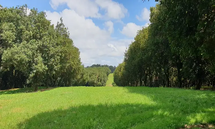 Third view of Homely rural property listing, Lots 3 and 4 Frank Street, Alstonville NSW 2477