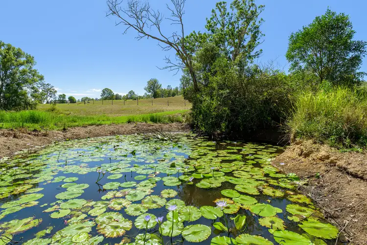 Sixth view of Homely rural property listing, 50 McNeil Road, Cedar Pocket QLD 4570