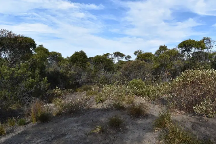 Fifth view of Homely land listing, 9 Main Street, Sapphiretown SA 5222