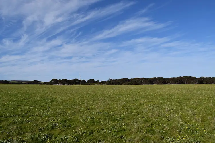 Fifth view of Homely land listing, 106 Rhynne road, Bay Of Shoals SA 5223