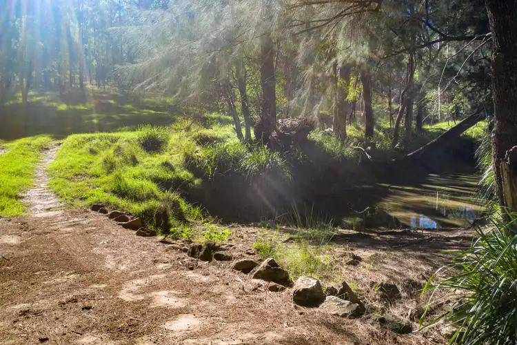 Fourth view of Homely rural property listing, 49 Dog Trap Creek Road, East Gresford NSW 2311