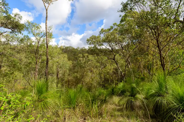 Third view of Homely rural property listing, Lot 2445 Mount Coora Road, Black Snake QLD 4600