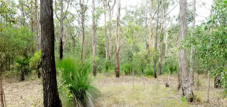 Sixth view of Homely rural property listing, Lot 2445 Mount Coora Road, Black Snake QLD 4600