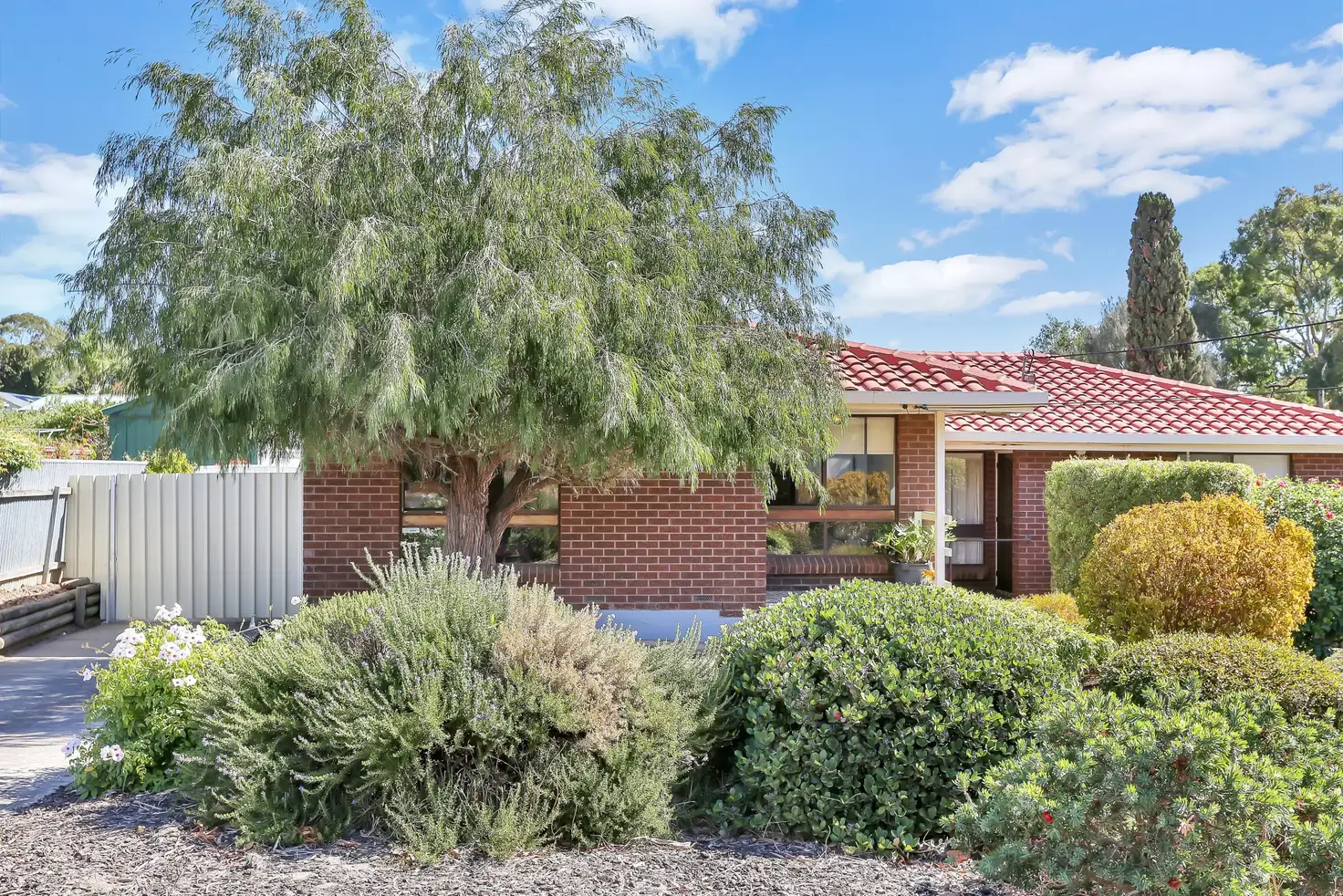 Main view of Homely unit listing, 6a Avago Street, St Agnes SA 5097