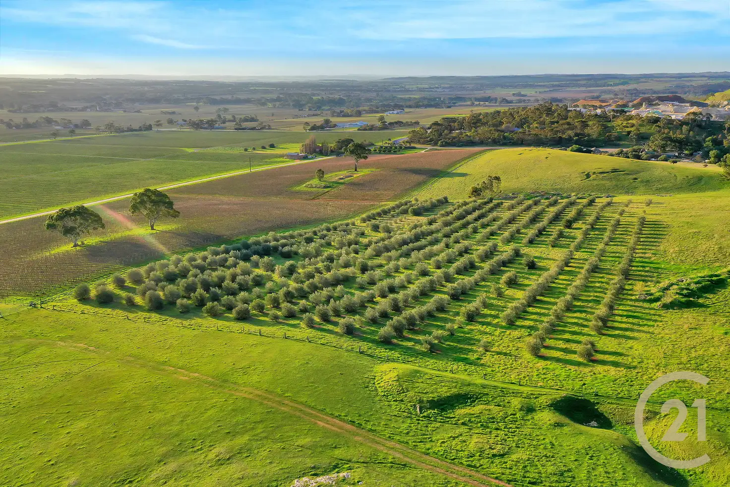 Main view of Homely rural property listing, Lot 404 Richard Street, Penrice SA 5353
