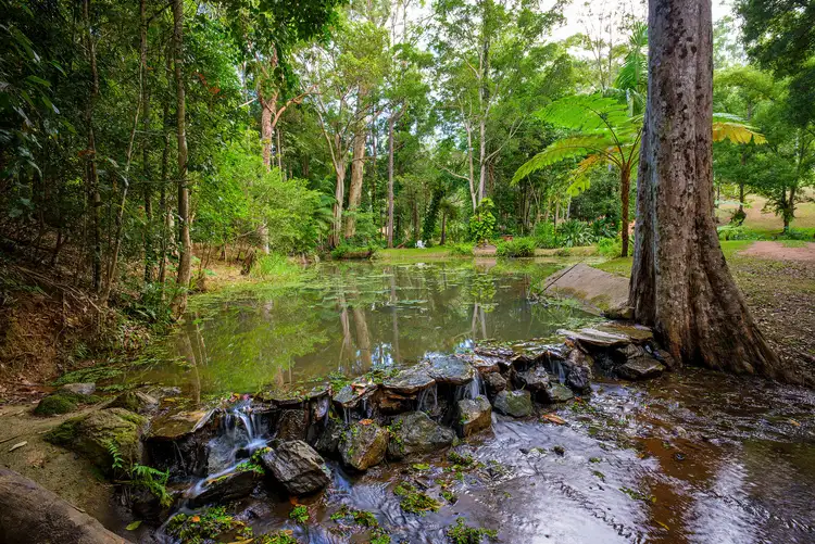 Fourth view of Homely rural property listing, 496 Beenham Valley Road, Beenaam Valley QLD 4570