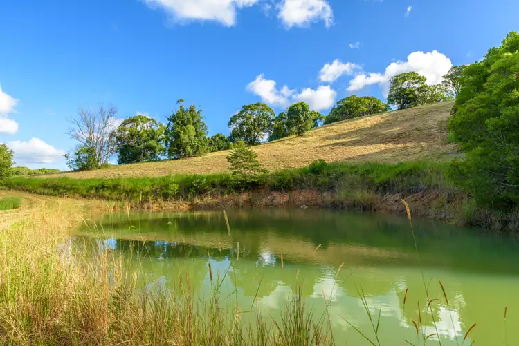 Fifth view of Homely rural property listing, 182 Ferrells Road, Cooroy QLD 4563
