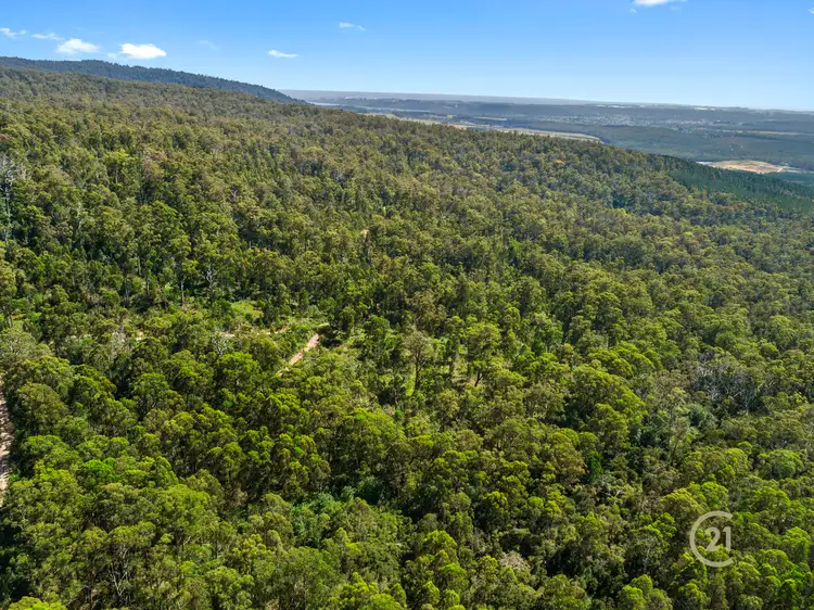 Second view of Homely rural property listing, 0 Dallys Road, Railton TAS 7305