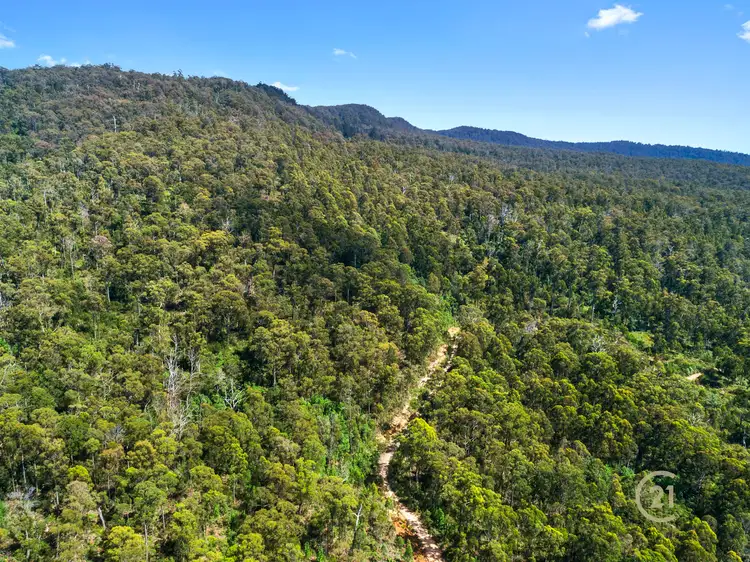 Fifth view of Homely rural property listing, 0 Dallys Road, Railton TAS 7305