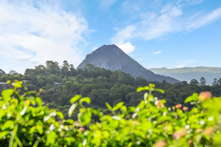 Sixth view of Homely house listing, 344 Black Mountain Road, Black Mountain QLD 4563