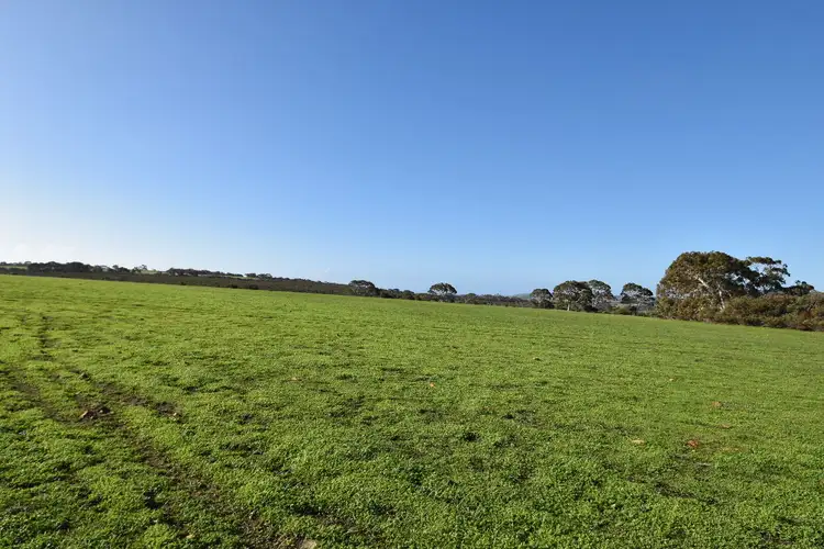 Fourth view of Homely rural property listing, Lot 1 North Coast Road, Menzies SA 5223