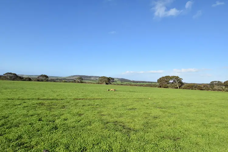 Fifth view of Homely rural property listing, Lot 1 North Coast Road, Menzies SA 5223