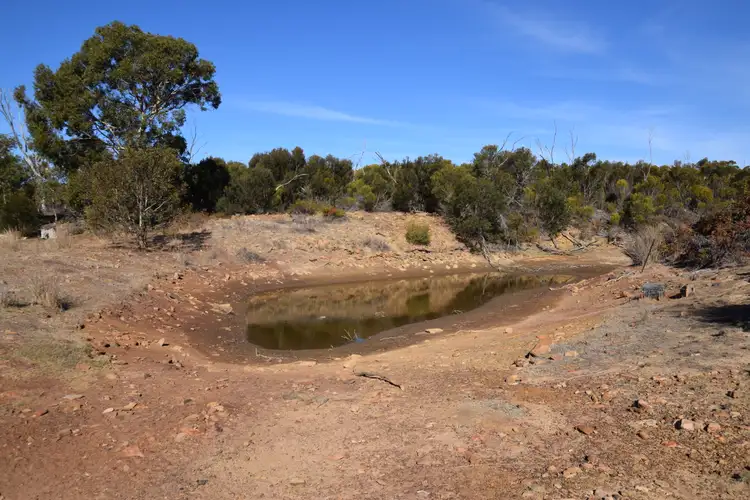 Sixth view of Homely rural property listing, Lot 1 North Coast Road, Menzies SA 5223