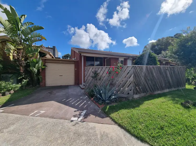 Main view of Homely unit listing, 17/11 Hannah Street, Cheltenham VIC 3192