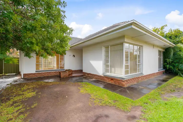 59 Woodlands Terrace, Edwardstown SA 5039