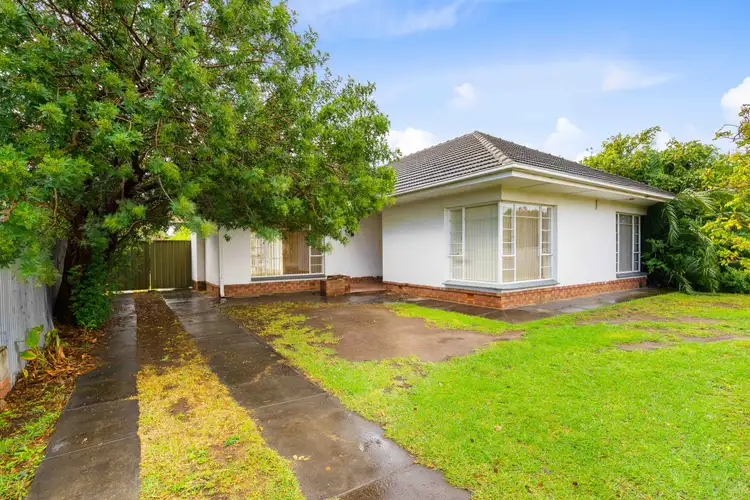 Fifth view of Homely house listing, 59 Woodlands Terrace, Edwardstown SA 5039