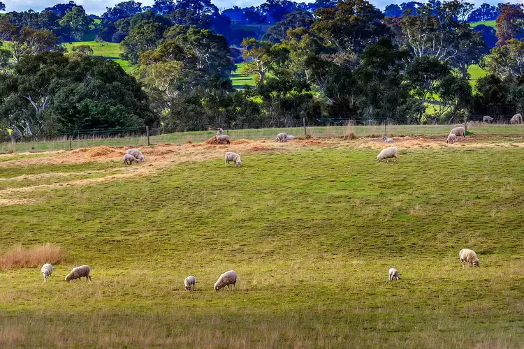 Fourth view of Homely rural property listing, 337 Matthews Road, Eden Valley SA 5235