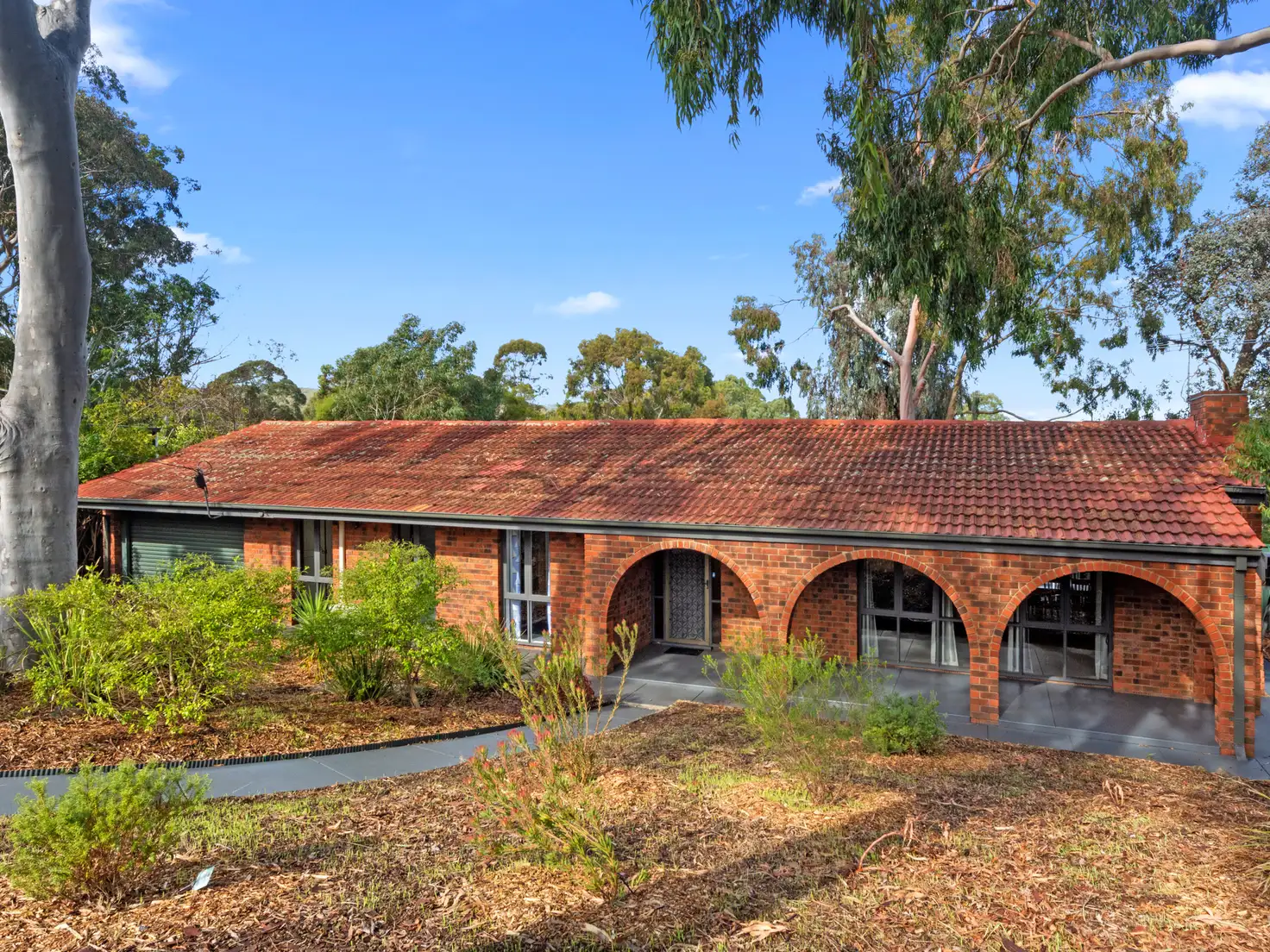Main view of Homely house listing, 6 Vine Crescent, Happy Valley SA 5159