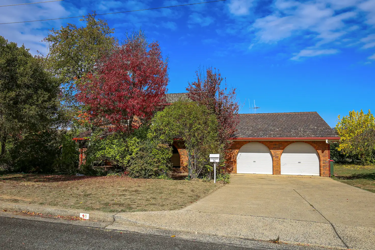 Main view of Homely house listing, 16 Ophir Street, Orange NSW 2800