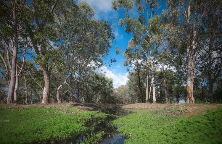 Third view of Homely land listing, Lot 61 Gilbert Road, North Dandalup WA 6207