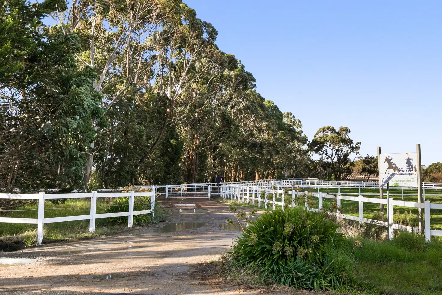 Main view of Homely rural property listing, 39 Whitneys Road, Somerville VIC 3912