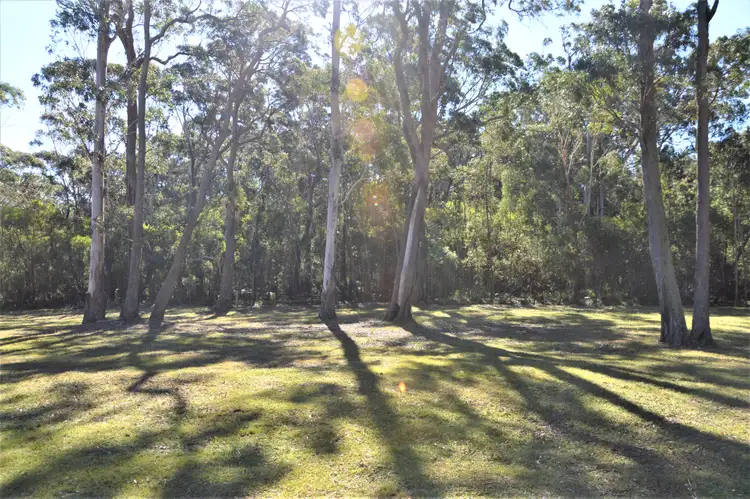 Sixth view of Homely rural property listing, 49 Gretas Road, Sassafras NSW 2622