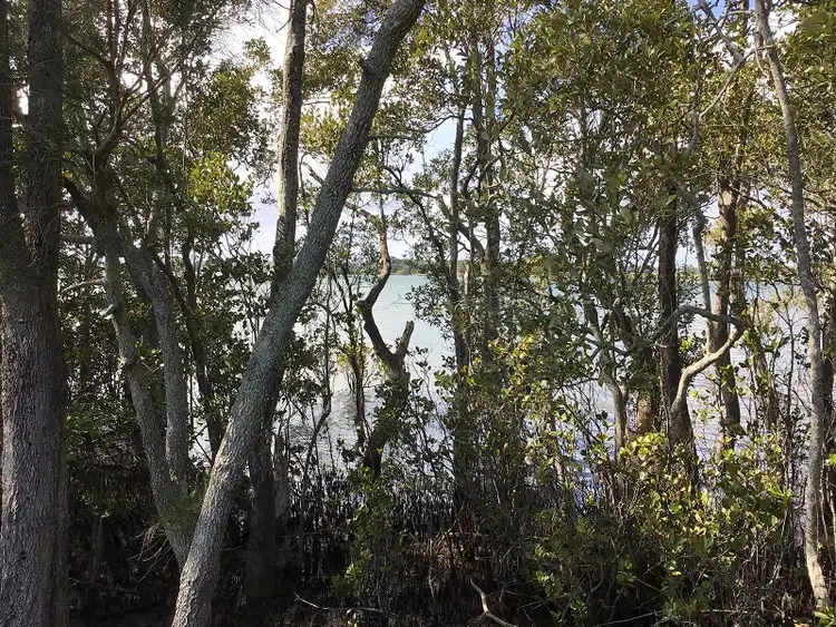 Second view of Homely rural property listing, Lot 9 Hermans Lane, Pimlico NSW 2478