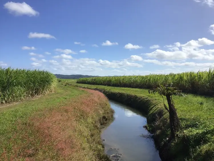 Third view of Homely rural property listing, Lot 9 Hermans Lane, Pimlico NSW 2478