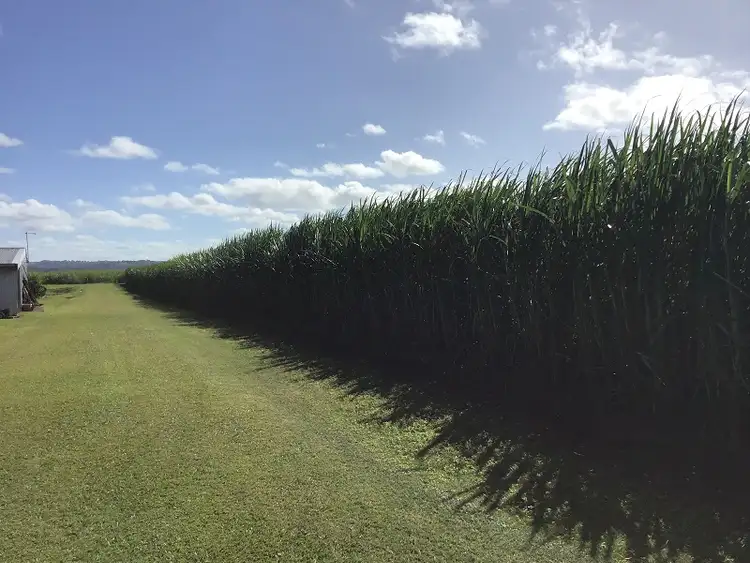 Fifth view of Homely rural property listing, Lot 9 Hermans Lane, Pimlico NSW 2478
