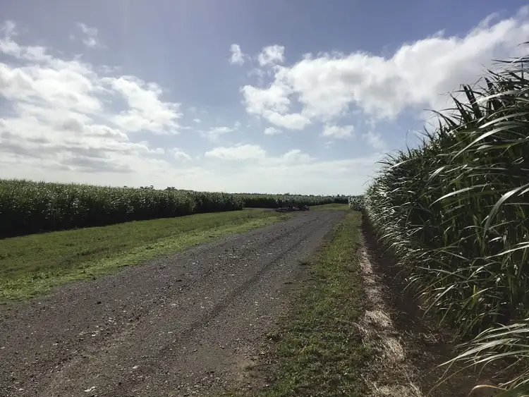 Sixth view of Homely rural property listing, Lot 9 Hermans Lane, Pimlico NSW 2478