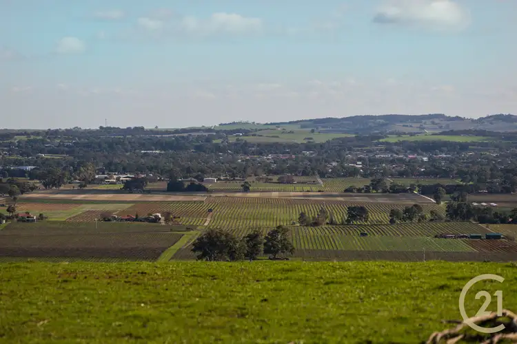 Main view of Homely rural property listing, 378 Richard Street, Penrice SA 5353