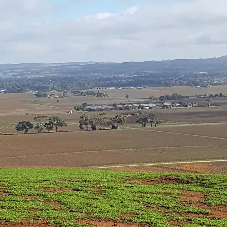 Fifth view of Homely rural property listing, 378 Richard Street, Penrice SA 5353