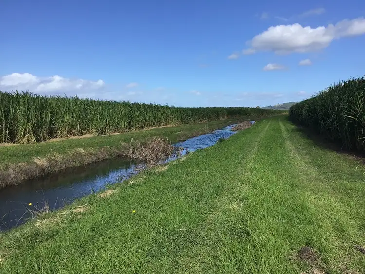 Third view of Homely rural property listing, Lot 11 Pimlico Road, Pimlico NSW 2478