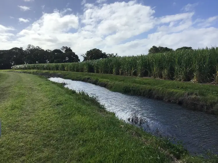 Fifth view of Homely rural property listing, Lot 11 Pimlico Road, Pimlico NSW 2478