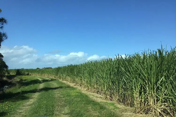 Sixth view of Homely rural property listing, Lot 11 Pimlico Road, Pimlico NSW 2478