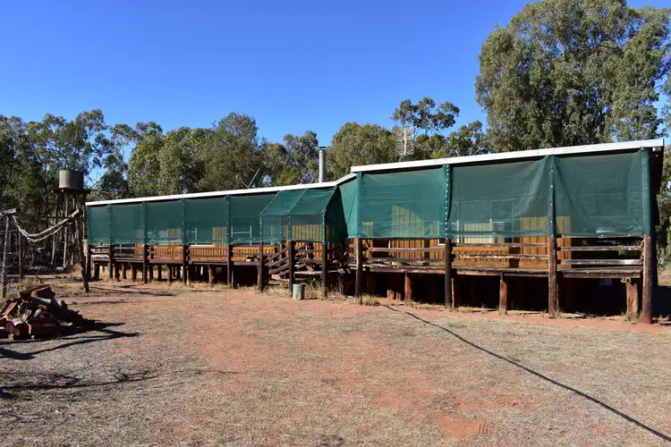 Main view of Homely other listing, 1258 Condobolin-Trundle Road, Trundle NSW 2875