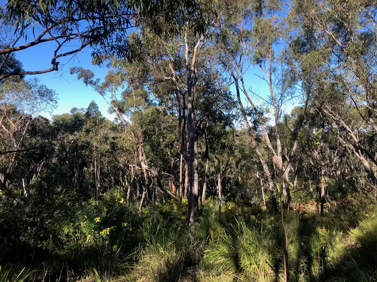 Third view of Homely land listing, 16 Eastern Avenue, Hazelbrook NSW 2779