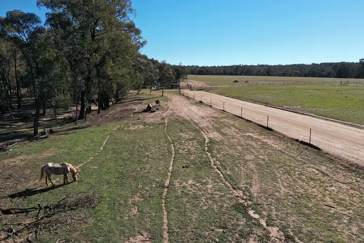 Third view of Homely rural property listing, Lot 2 Adelargo Road, Grenfell NSW 2810