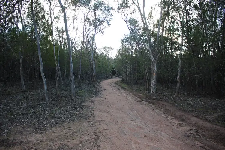 Fifth view of Homely rural property listing, Lot 2 Adelargo Road, Grenfell NSW 2810