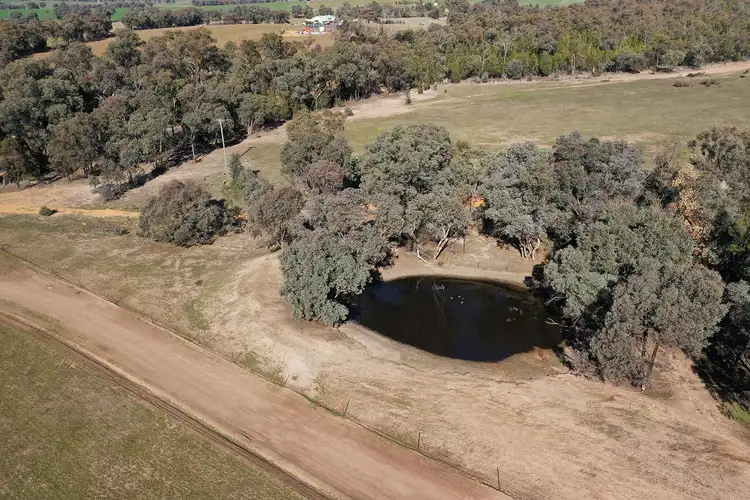 Sixth view of Homely rural property listing, Lot 2 Adelargo Road, Grenfell NSW 2810