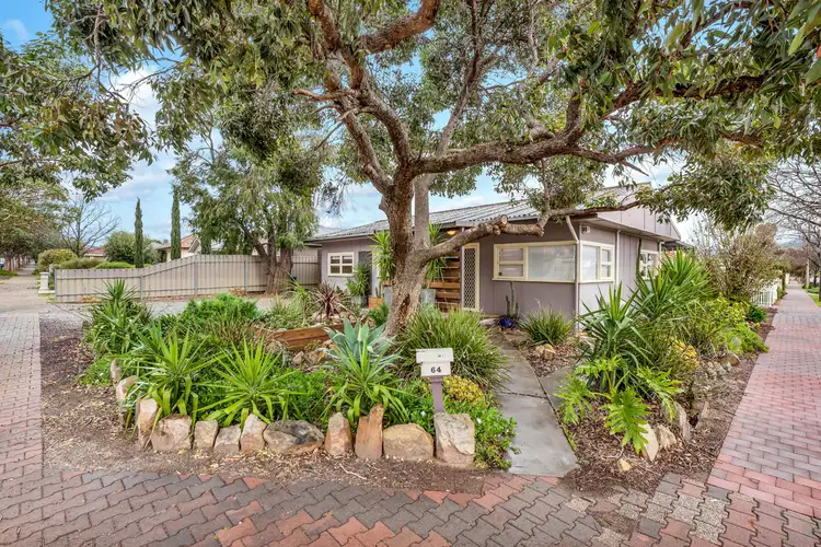 64 Dorene Street, St Marys SA 5042