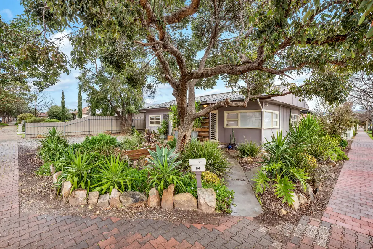 Main view of Homely house listing, 64 Dorene Street, St Marys SA 5042