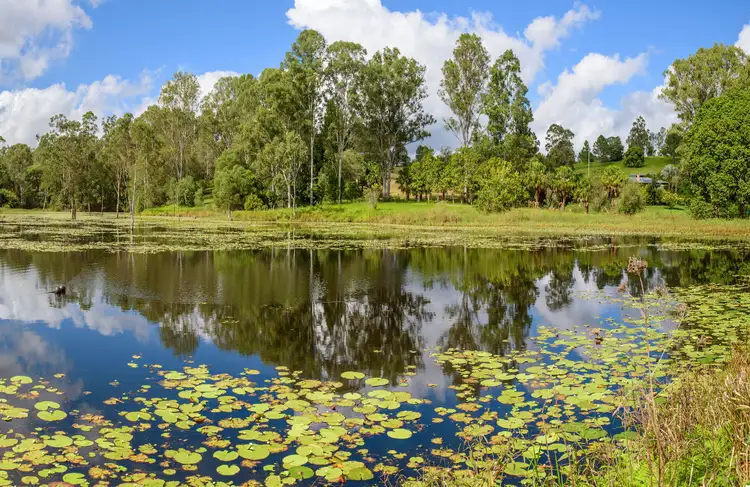 Sixth view of Homely rural property listing, 7 Hay Road, Canina QLD 4570