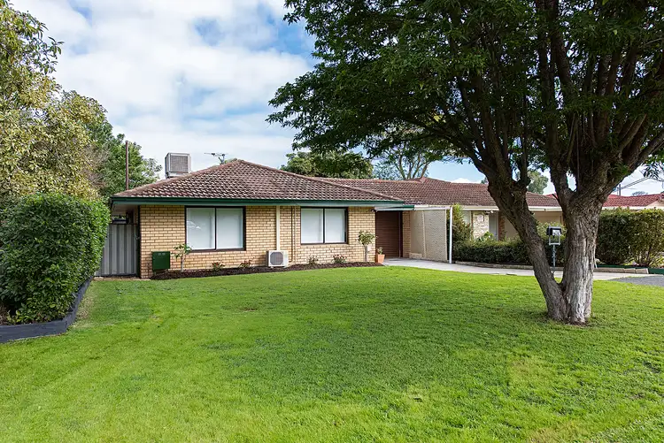 19A Paltridge Avenue, Carlisle WA 6101