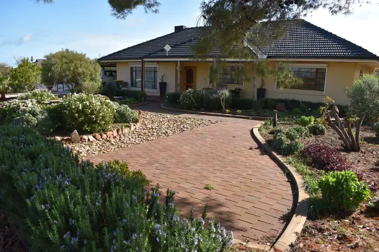 Main view of Homely rural property listing, 6 Oaks Road, Napperby SA 5540