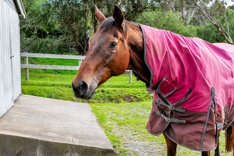 Third view of Homely house listing, 1282 Lower North East Road, Houghton SA 5131