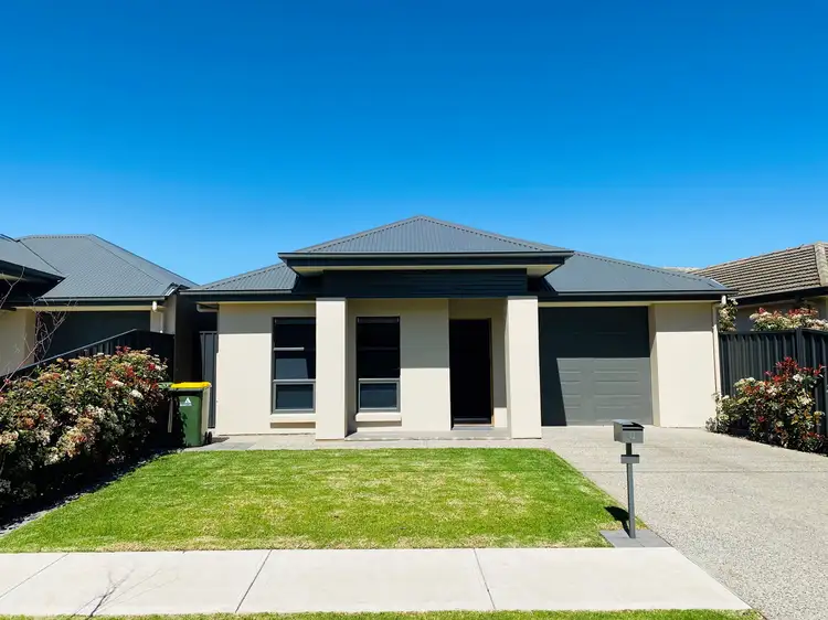 8 Cedar Ave, Warradale SA 5046