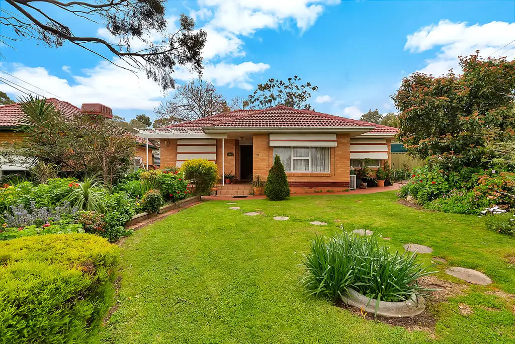 Main view of Homely house listing, 36 Shelley Street, Tea Tree Gully SA 5091